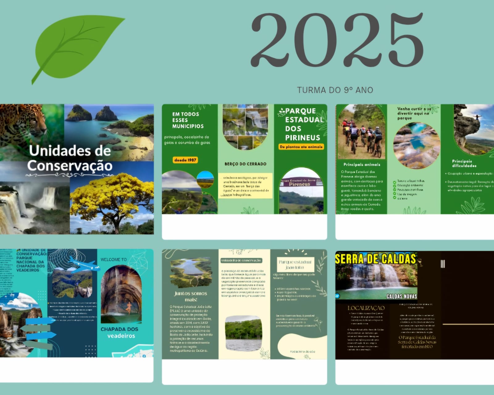 🌎 Unidades de Conservação do Centro-Oeste – Cuidando do Nosso Cerrado