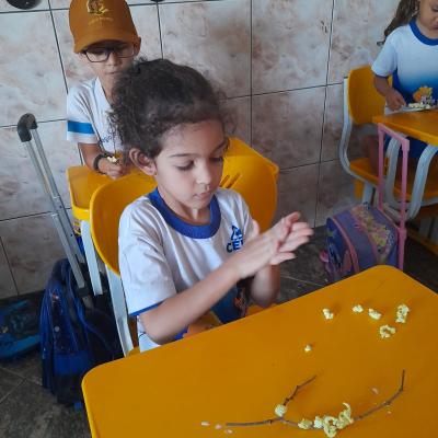 Whatsapp Image 2025 09 03 At 12.37.10