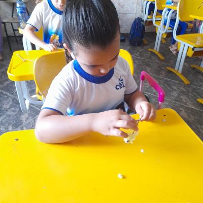 Whatsapp Image 2025 09 03 At 12.37.12 2