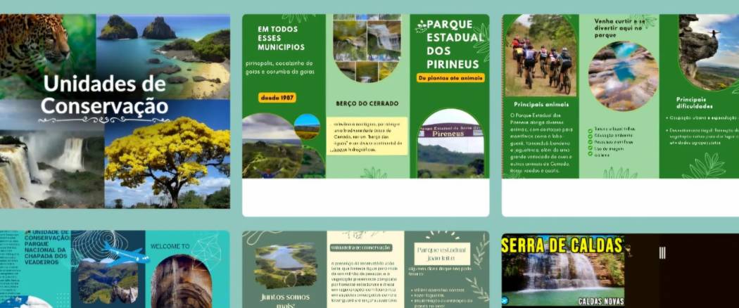 🌎 Unidades de Conservação do Centro-Oeste – Cuidando do Nosso Cerrado